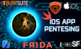 pentest ios applications with providing detailed reports