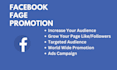 run an advertising campaign to promote your facebook page
