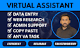 do any virtual assistant, web research and data entry job