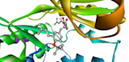 do docking for protein and ligands