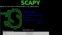 develop scapy and socket programming projects