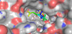 virtual screen 5k ligands using molecular docking