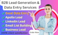 do excel data entry and  targeted b2b lead generation