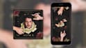 animate your album cover art for a spotify canvas and ig