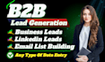 do b2b lead generation for global any business