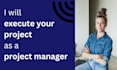 execute your project as a project manager