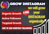 professionally and organically grow your instagram reach