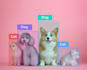 develop customized object detection, segmentation and classification models