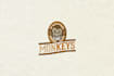 create a amazing stylish logo design