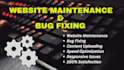 do website maintenance and layout bug fixing in your react website