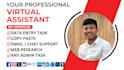 be your executive virtual assistant