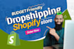 setup beginner budget friendly shopify dropshipping with free theme and pagefly