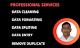do clean excel data, editing and removing duplicate data