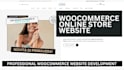 build a complete professional website or ecommerce store