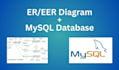 design er, eer diagram and mysql database
