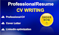 design professional resume maker tech CV writing services