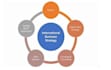 do international business essays and case study analysis
