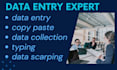 do data entry, copy paste, typing and data analysis