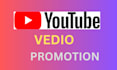 do organic youtube vedio promotion