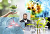 elevate your biology knowledge as a biology tutor