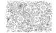 draw coloring pages for children and adults