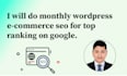 do monthly wordpress ecommerce seo for top ranking on google