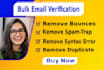 do bulk email verification, bounce testing for email list