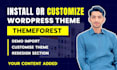 install and customize premium theme and setup wordpress in 24 hour
