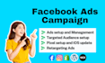 setup facebook ads campaign