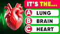 make high quality trivia, quiz question videos for youtube within 24 hour