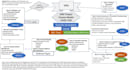 do dnp projects, formulate picot questions, ebp and nursing tasks