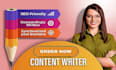 be your impeccable SEO website content writer or copywriter