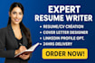 write a professional resume, cover letter, aerospace and  linkedin optimization