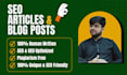 do SEO friendly optimized and tech articles content writing