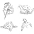 draw animals in pen and ink