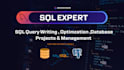 build sql queries, optimize database queries, sql database projects, and manage