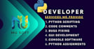 create python script, coding, assignment, gui apps, automation and coder