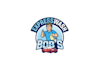 design shining wonderful car wash logo