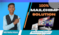 provide expert mailchimp consultation
