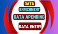 data enrichment, data appending, data entry