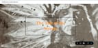 create websites for you