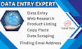do PDF to excel data entry, web research and scraping, copy paste and find email