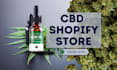 design responsive cbd shopify store cannabis website cbd dproshipping cbd