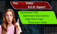do best youtube video seo expert