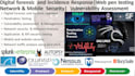 conduct digital forensic, penetration testing, vulnerability assessment services