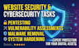perform application security testing and malware removal