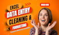 do ms excel data entry, data cleaning, data formatting, and data analysis