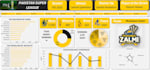help with interactive excel visuals, dashboard and automation