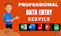 do data entry, excel data entry, web research, typing