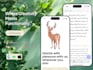 develop flutter mobile, desktop or web applications